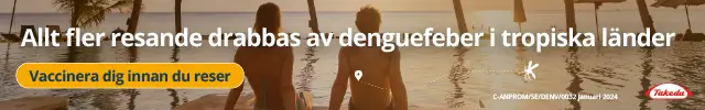 Känn till Dengue